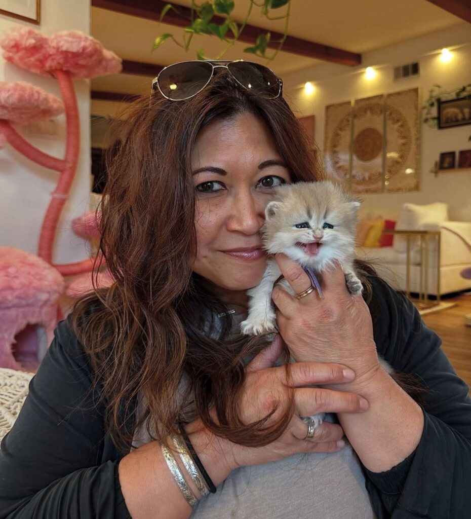 Royal British Shorthair testimonial img